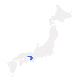 JR West Kansai Pass